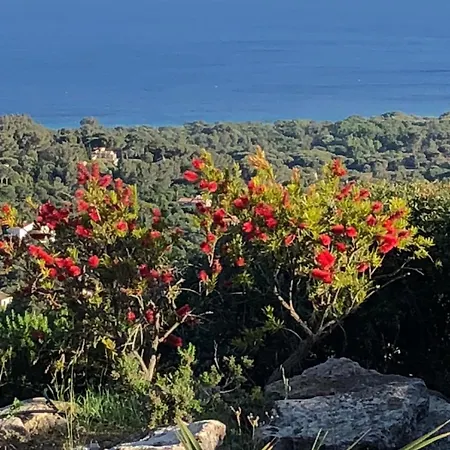 Corte Real - Vue Et Piscine Au Calme Villa